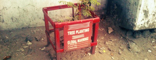 Tree Planting